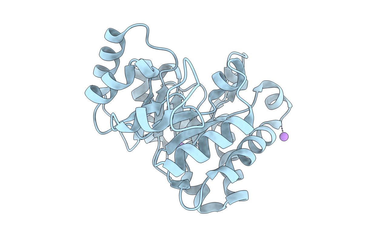 4O4V image