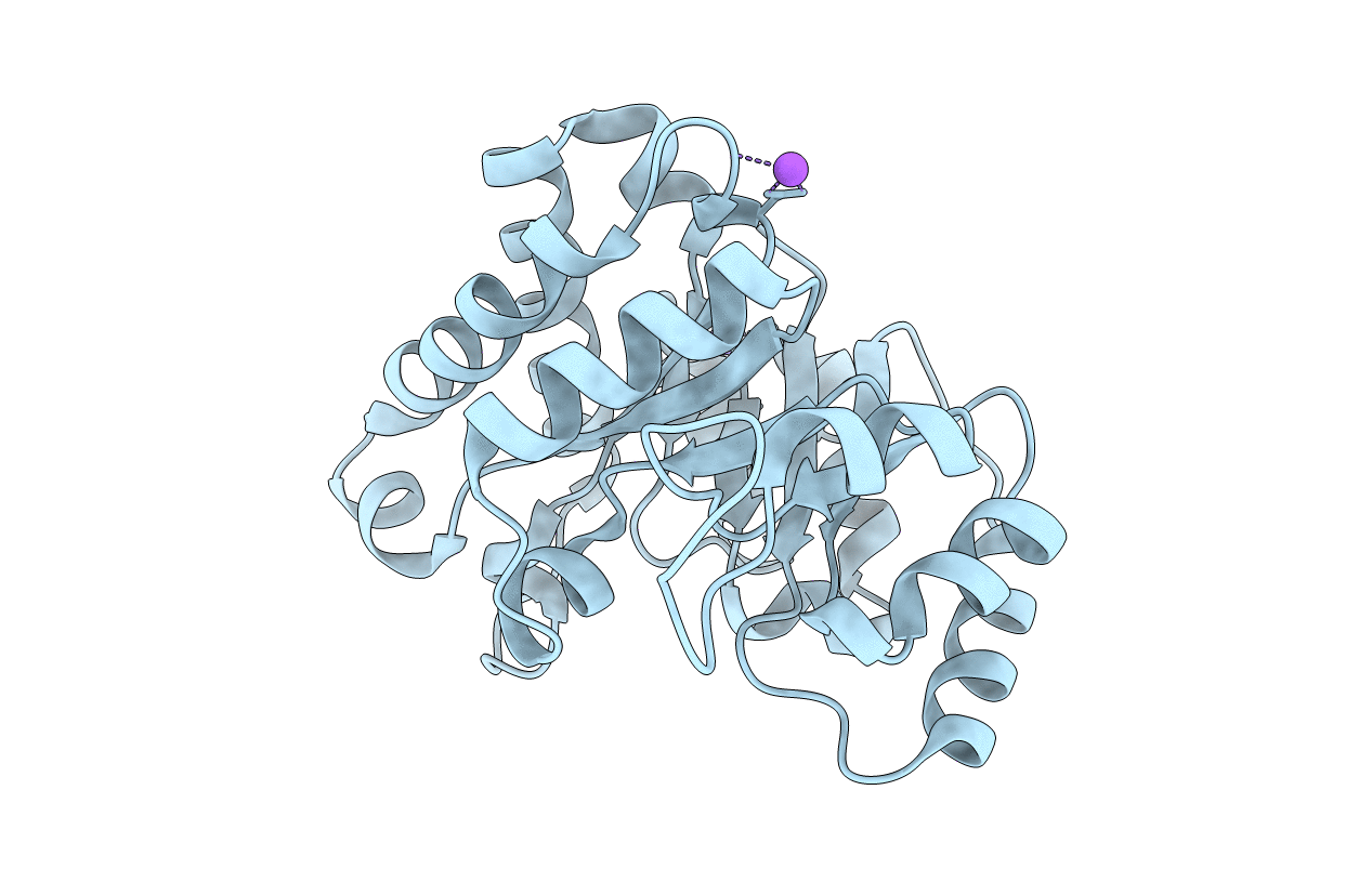 4O4W image