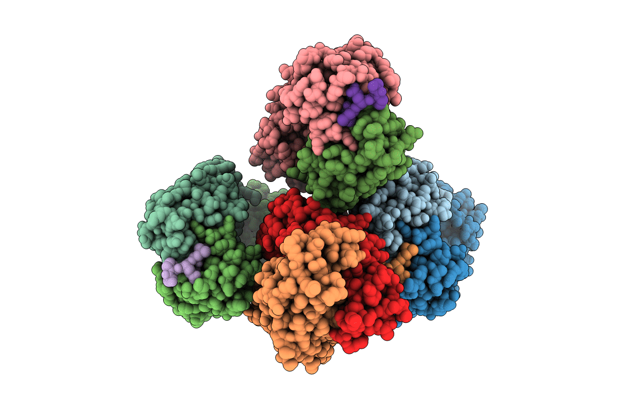 4O51 image