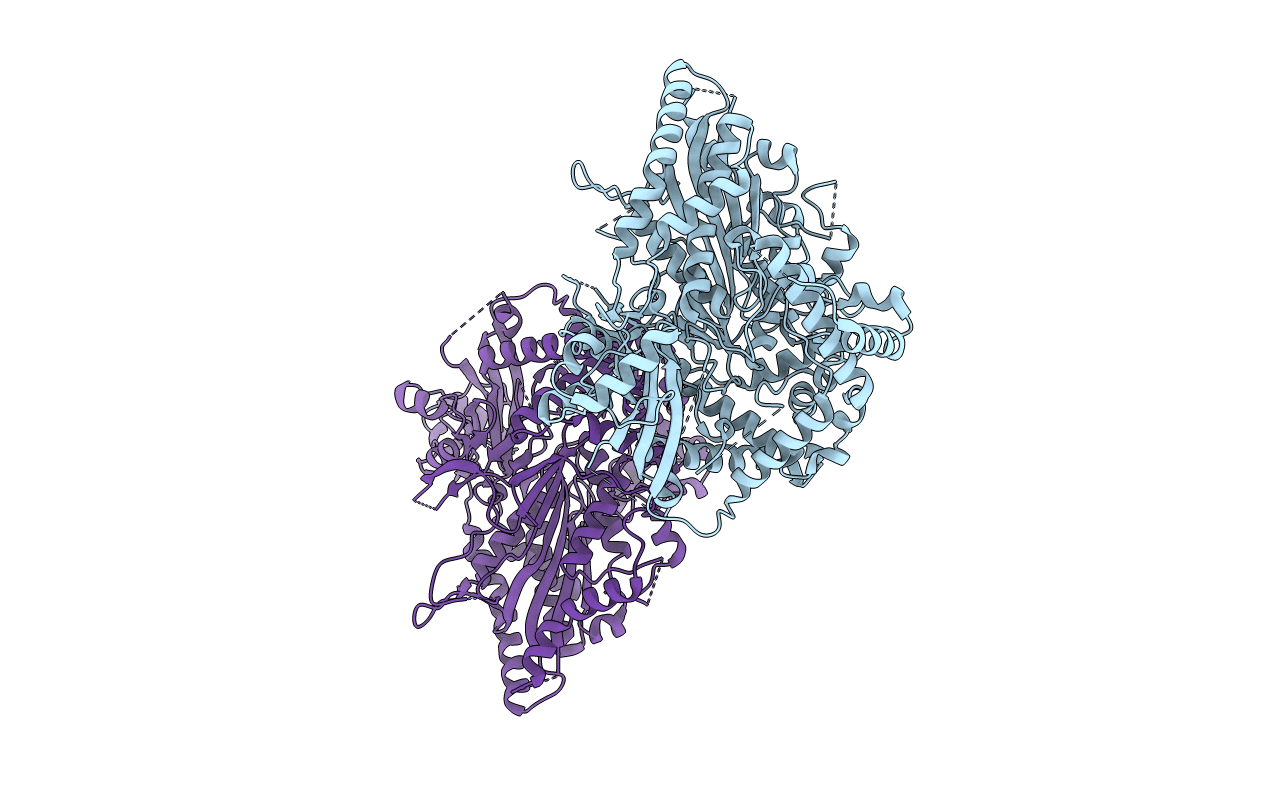 4O5P image