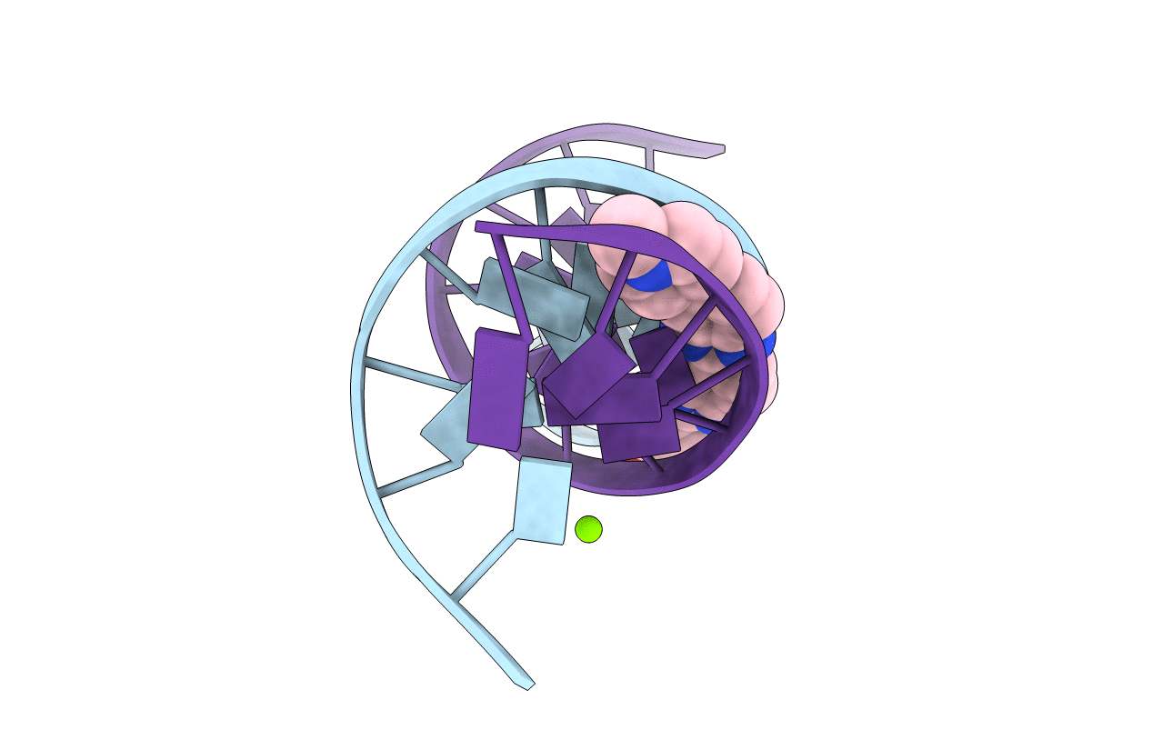 4O5X image