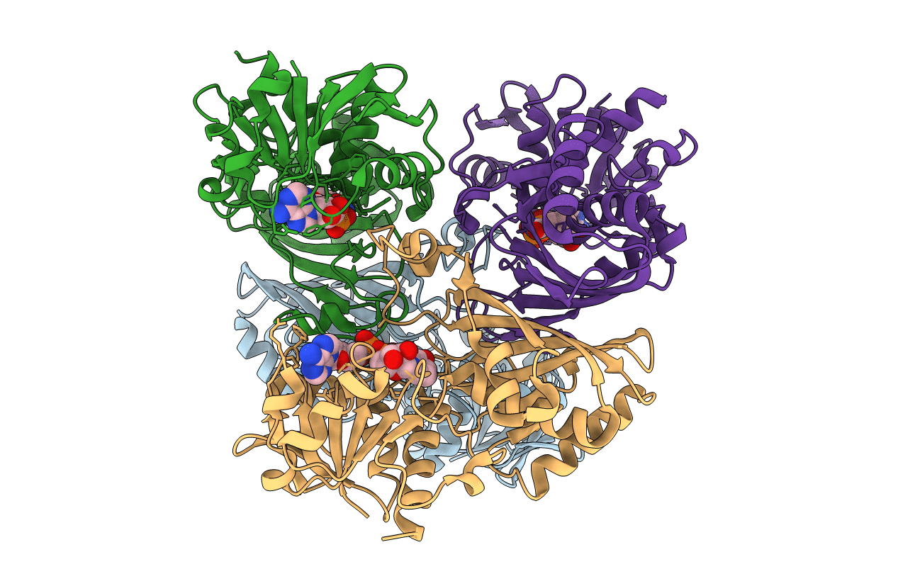4O63 image