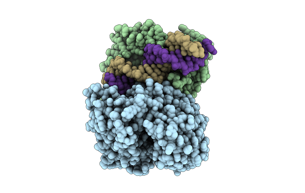 4O6A image