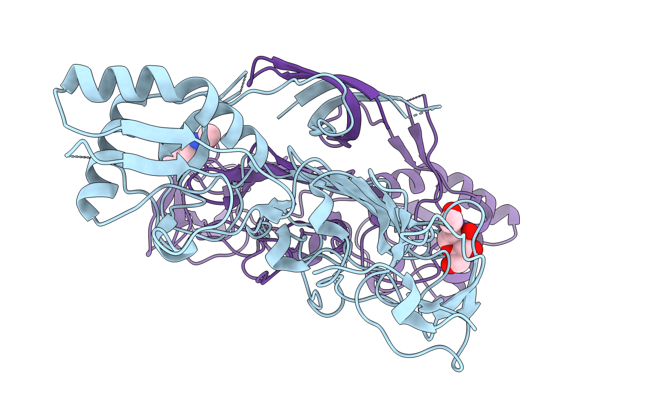 4O6B image