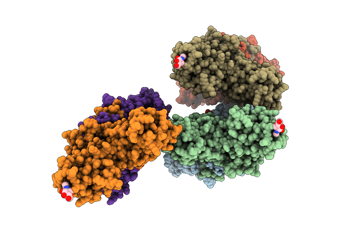 4O6C image