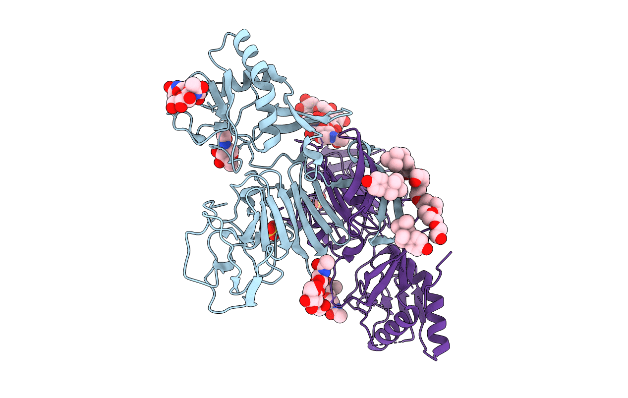 4O6D image