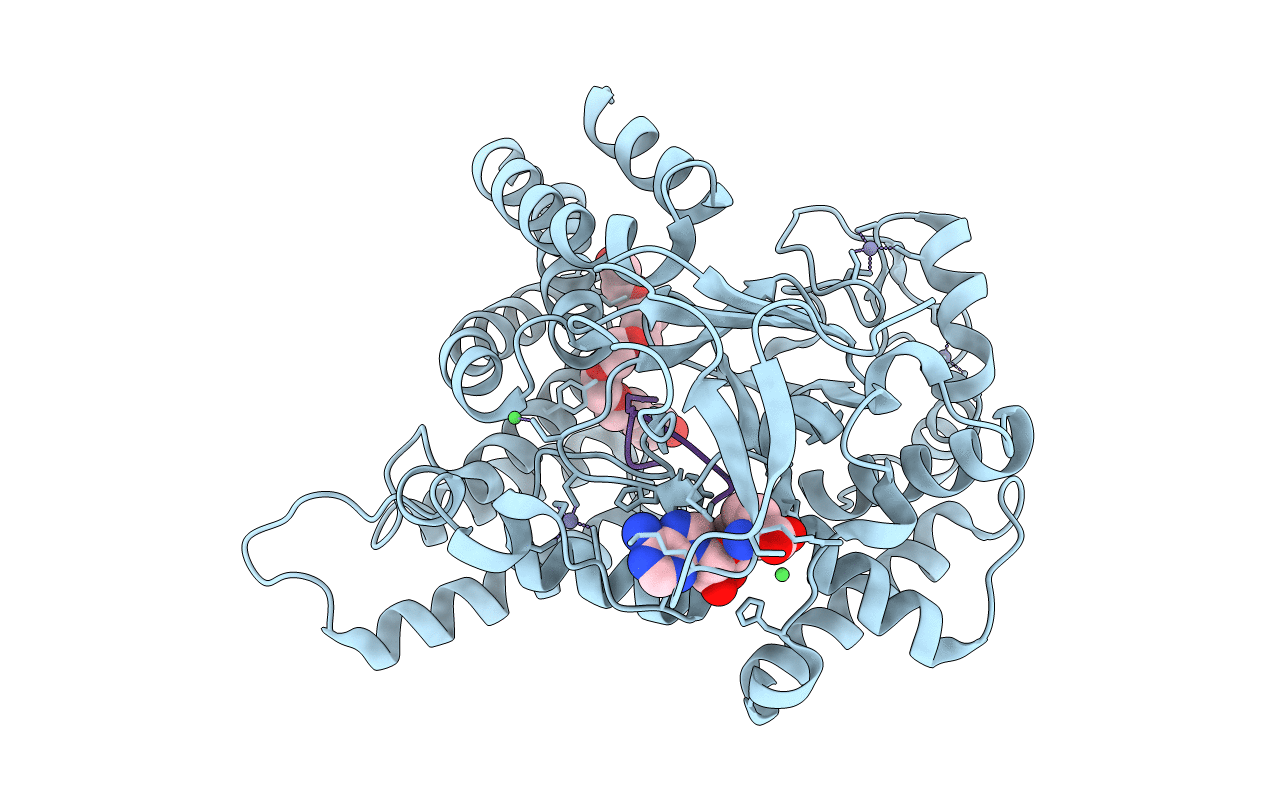 4O6F image