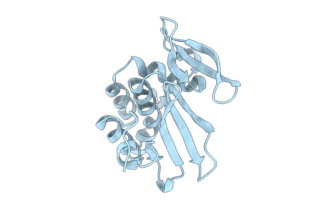 4O6G image