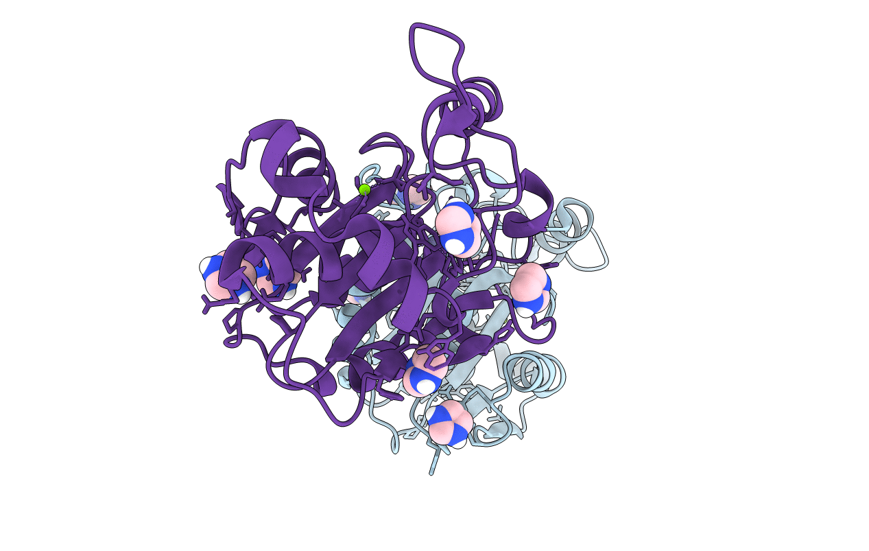 4O6I image