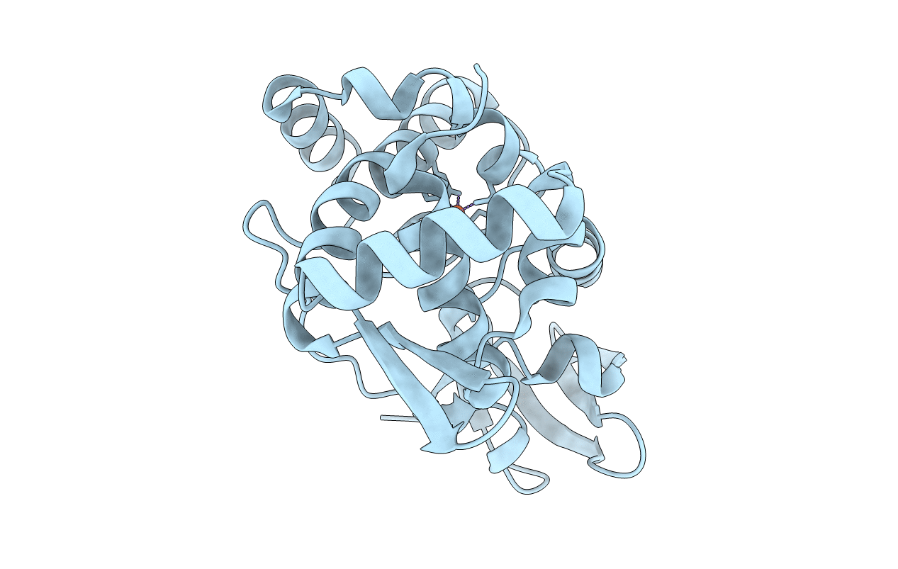 4O6J image