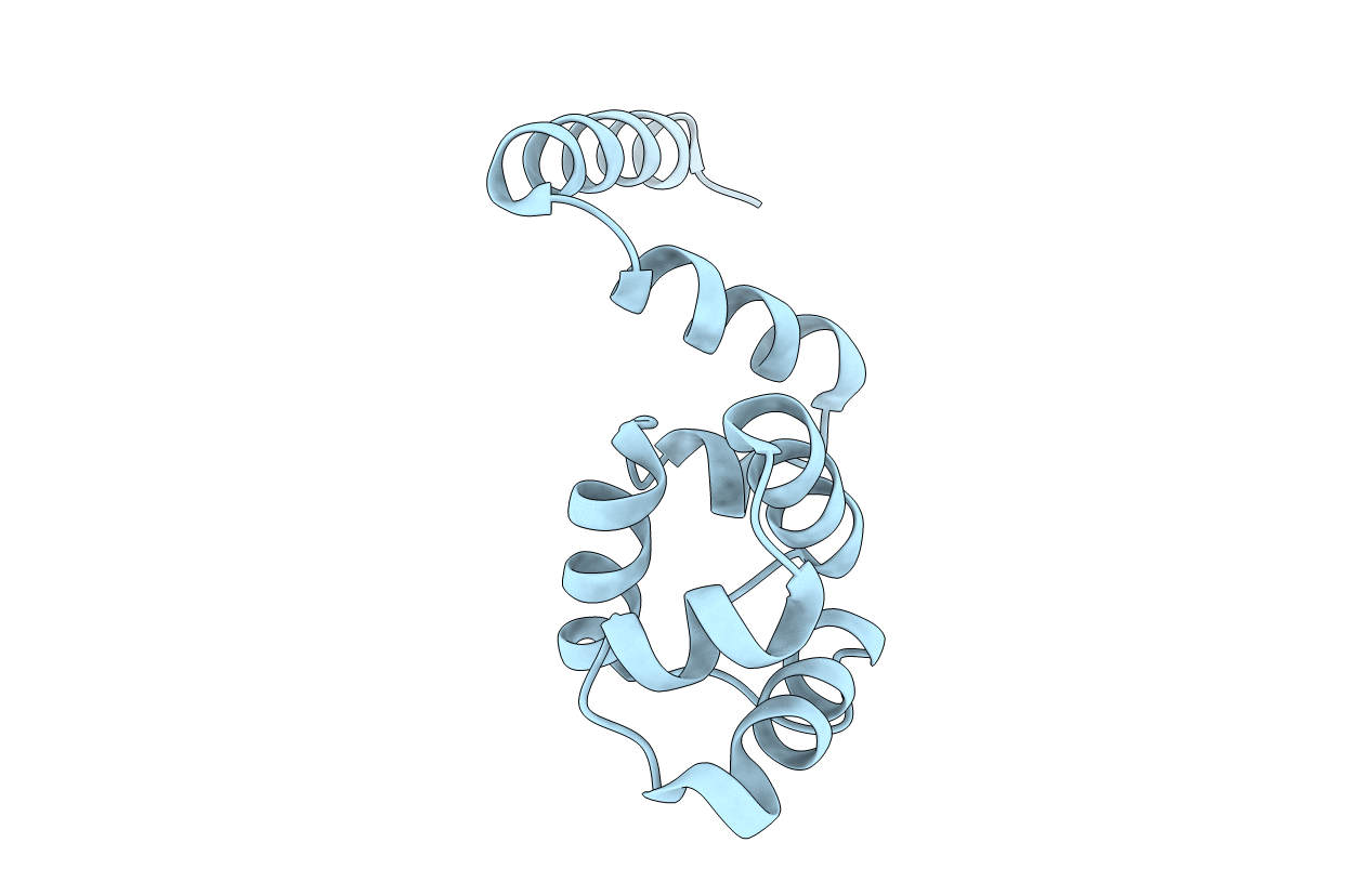 4O8B image