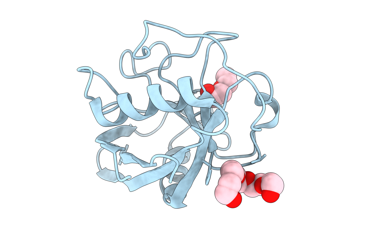 4O8H image