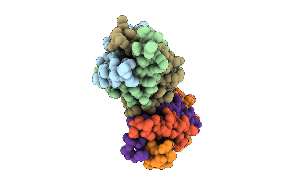 4O8W image