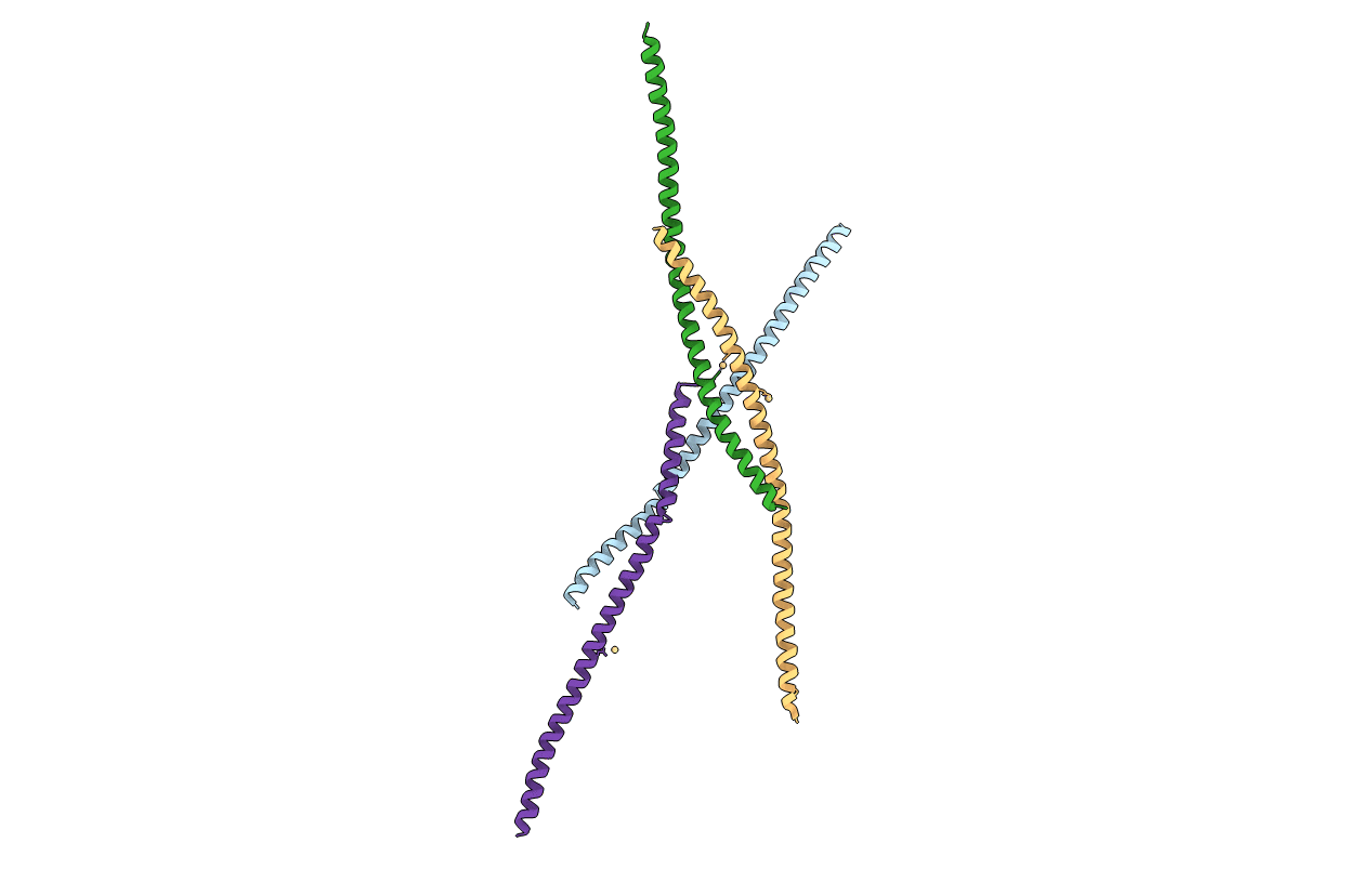 4O9B image