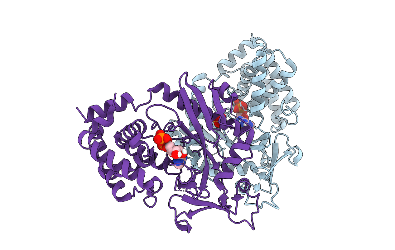 4OAG image
