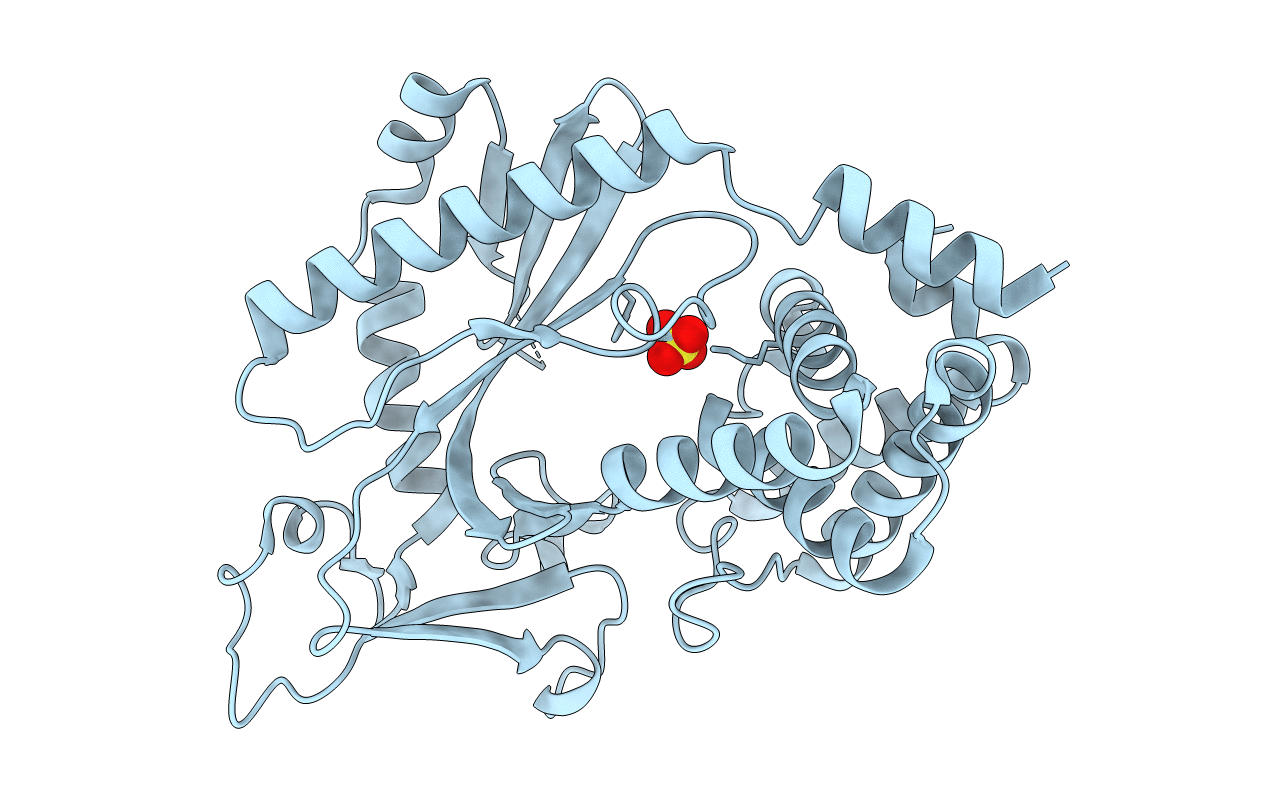 4OAI image