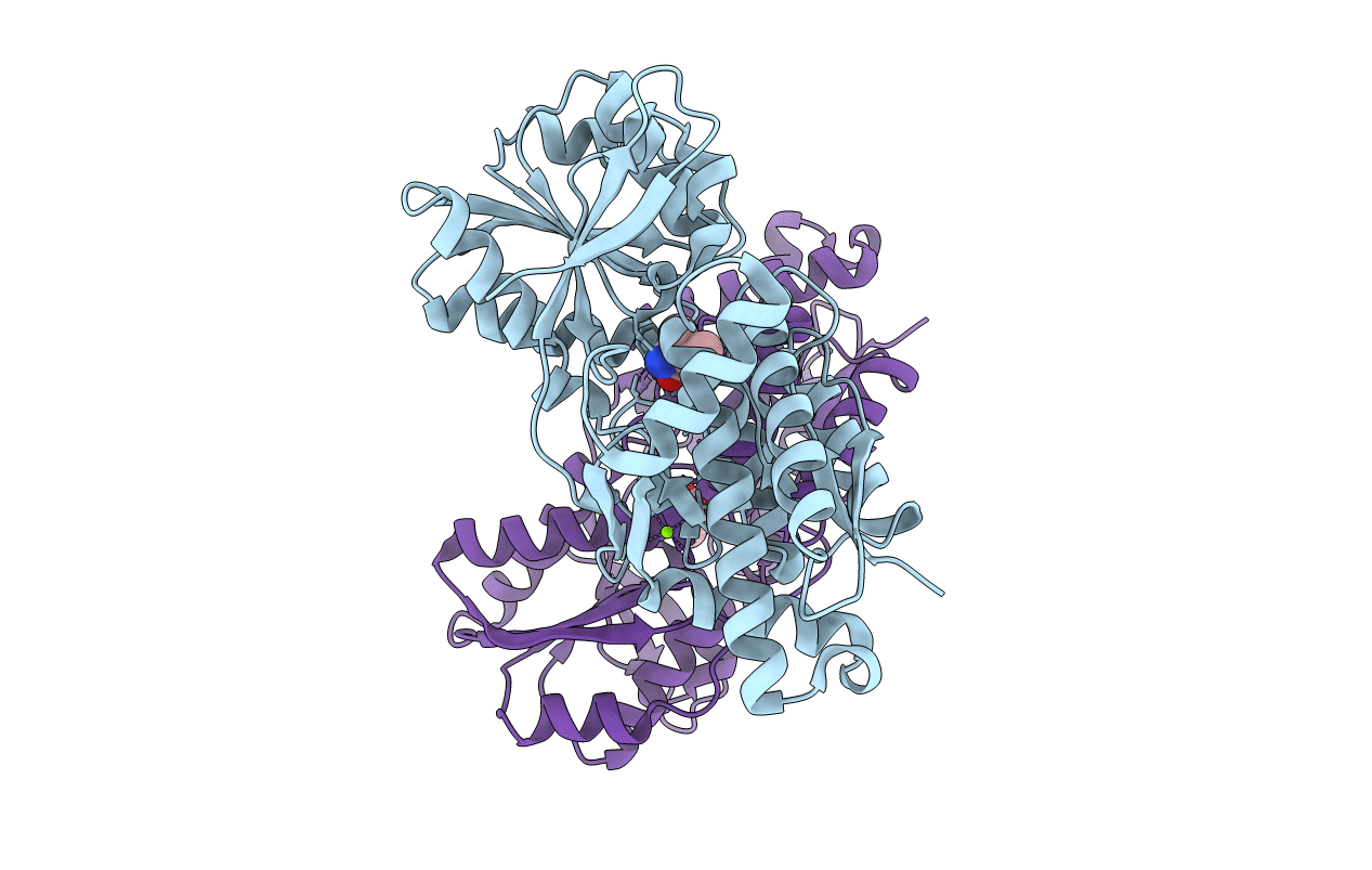 4OAT image
