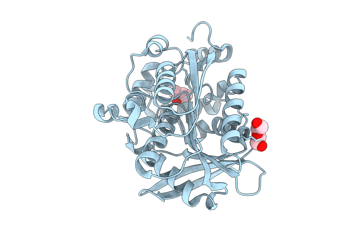 4OB8 image