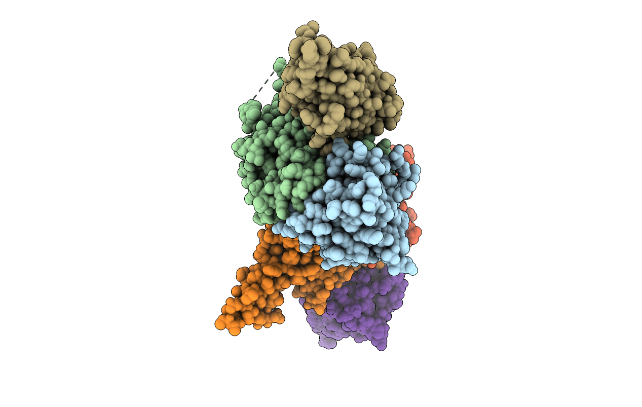 4OCL image