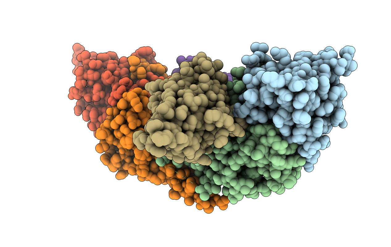 4OCM image