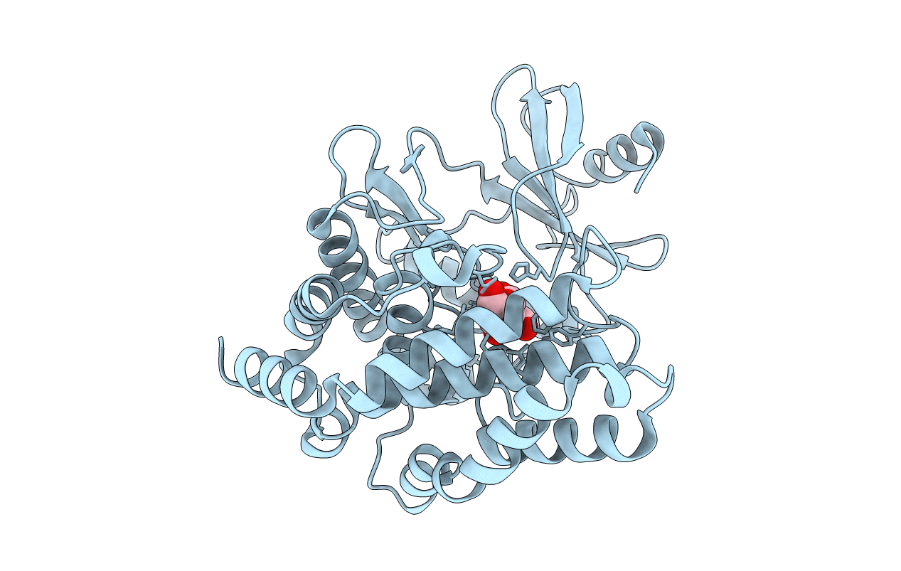 4OCQ image