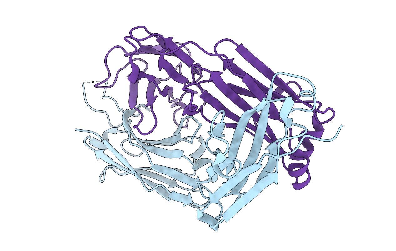 4OCR image