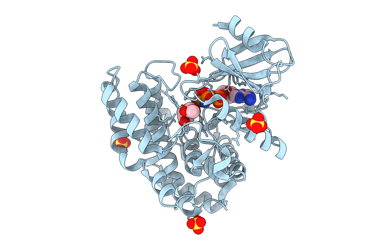 4OCV image
