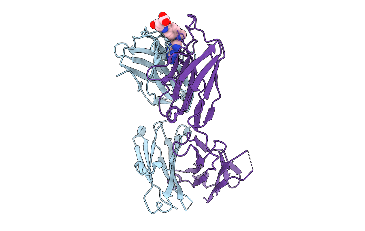 4OCX image