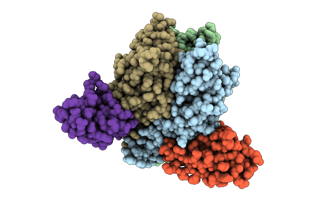 4ODB image