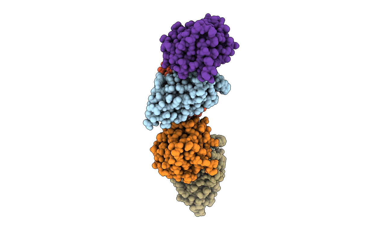 4ODX image