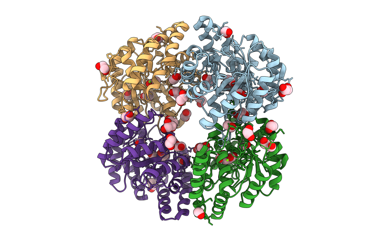 4OE7 image