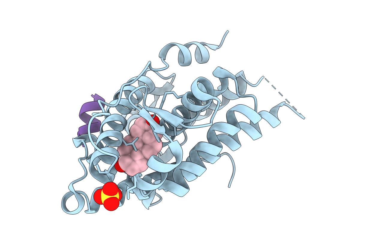 4OED image