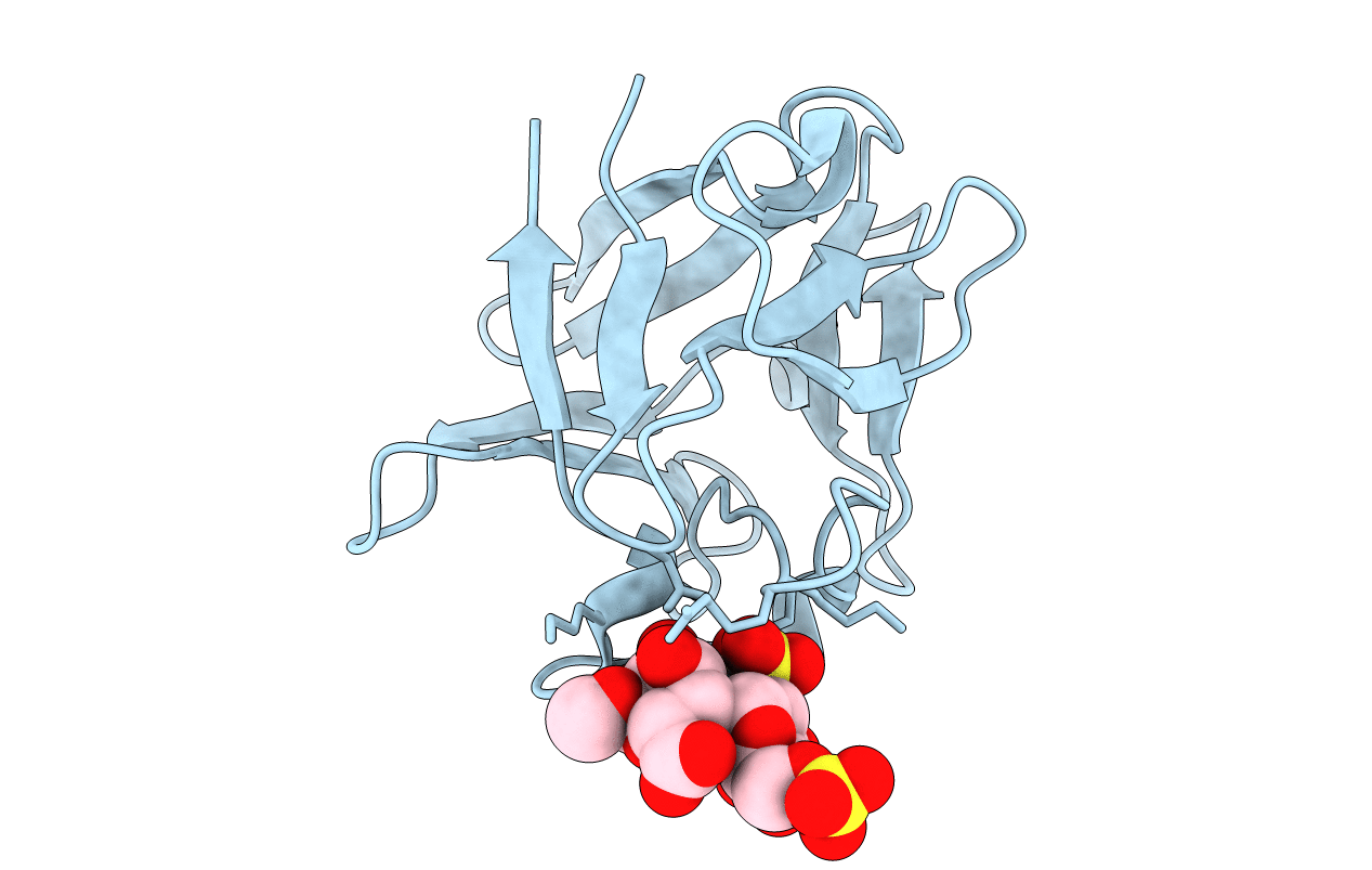 4OEG image