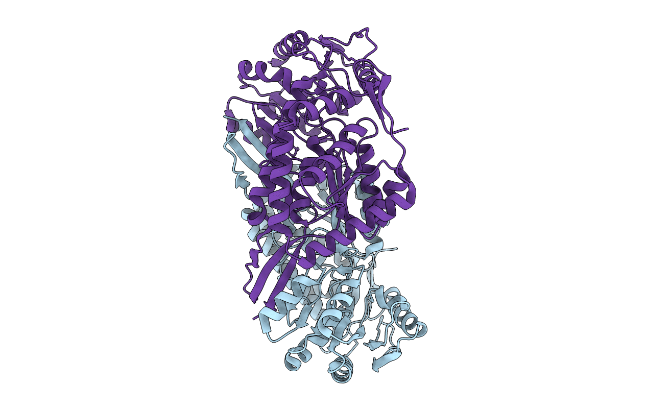 4OGD image