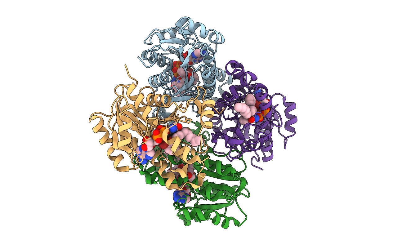 4OHU image