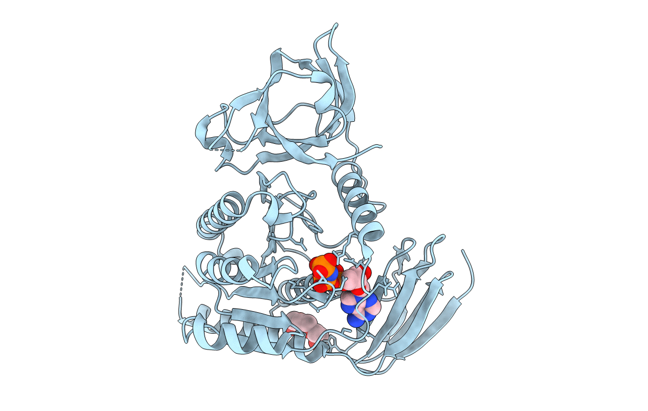 4OHV image