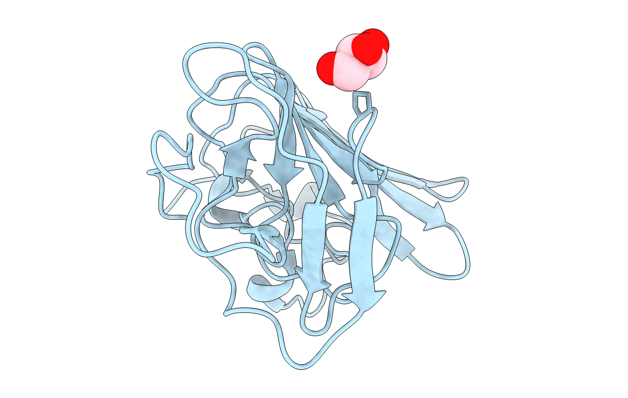 4OIE image