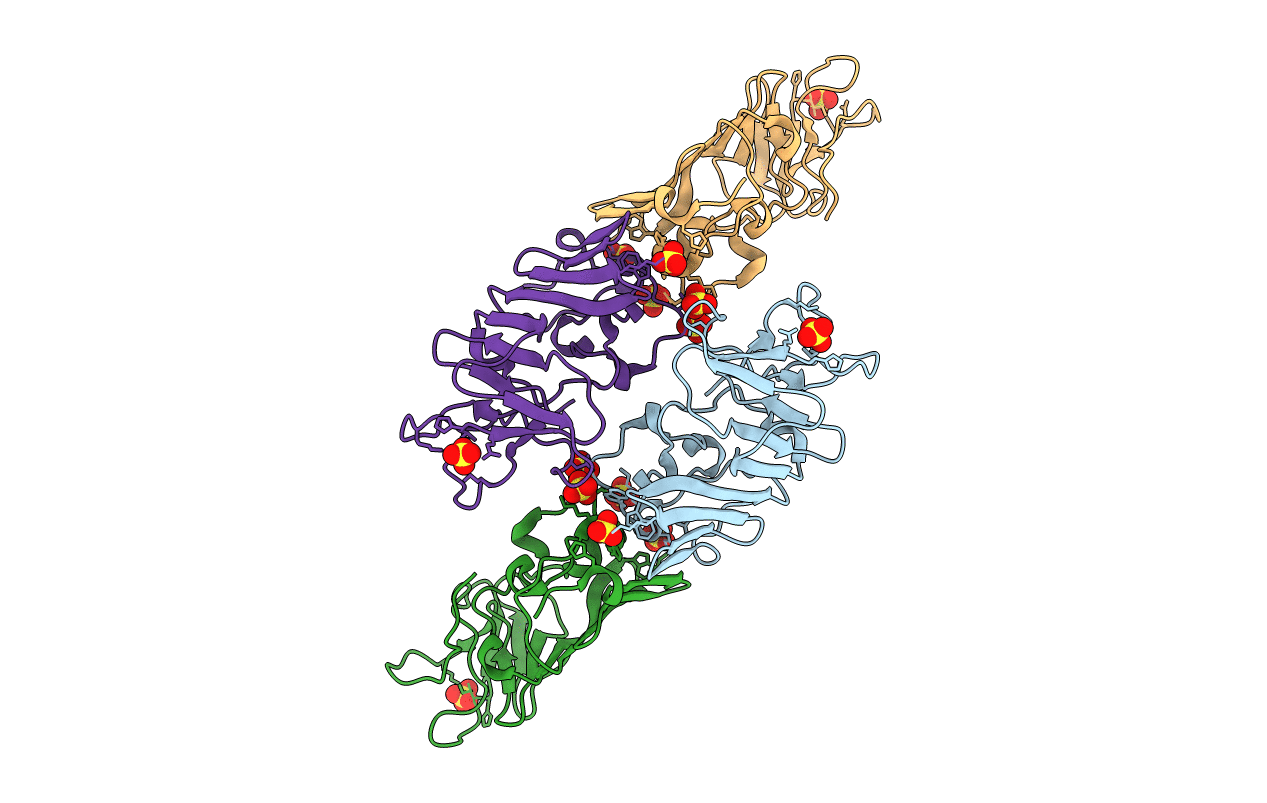 4OIG image