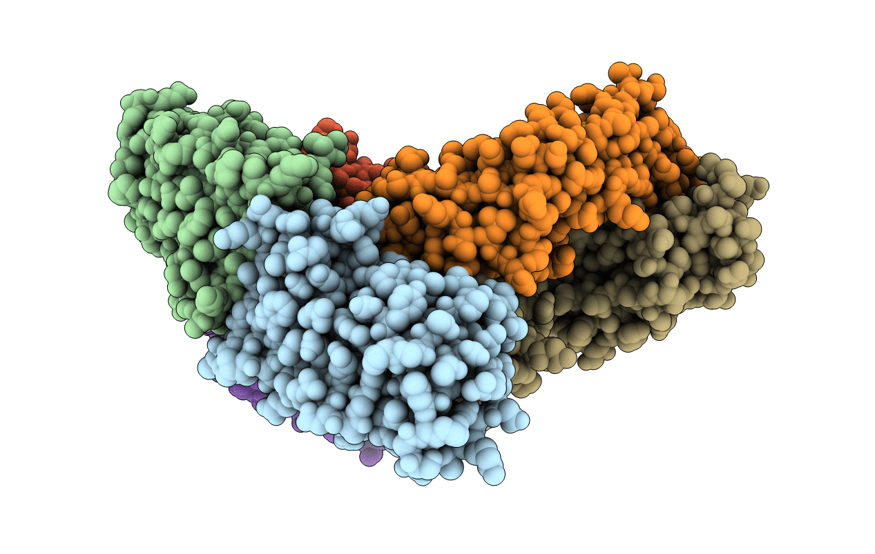 4OII image