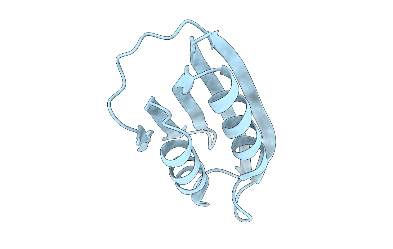 4OIX image