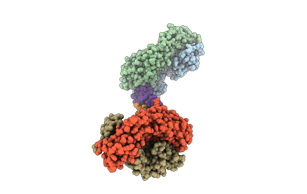 4OKV image