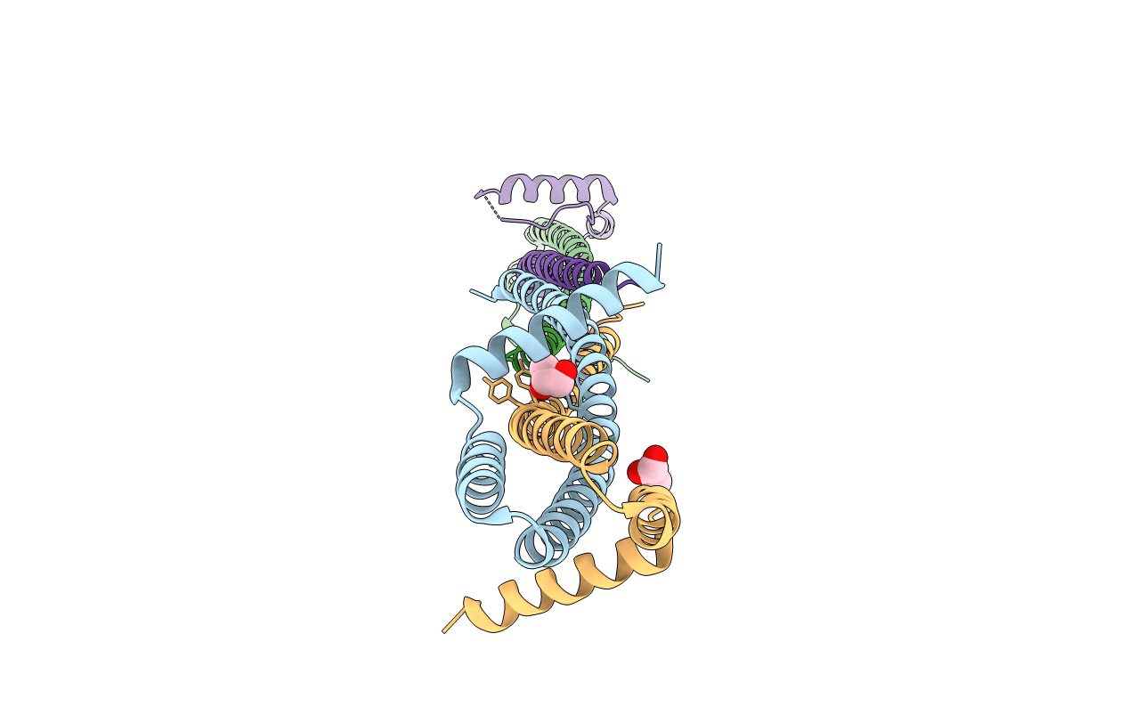 4OM3 image