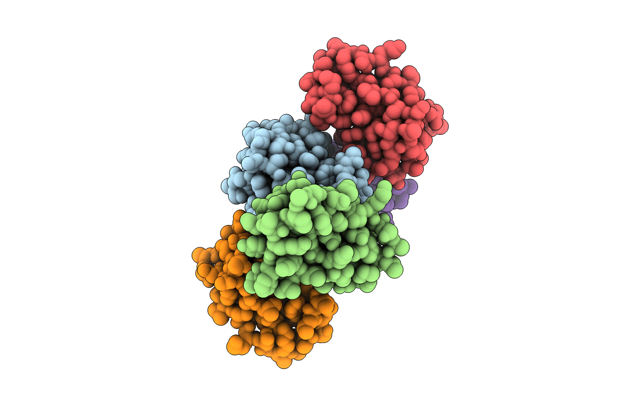 4OM4 image