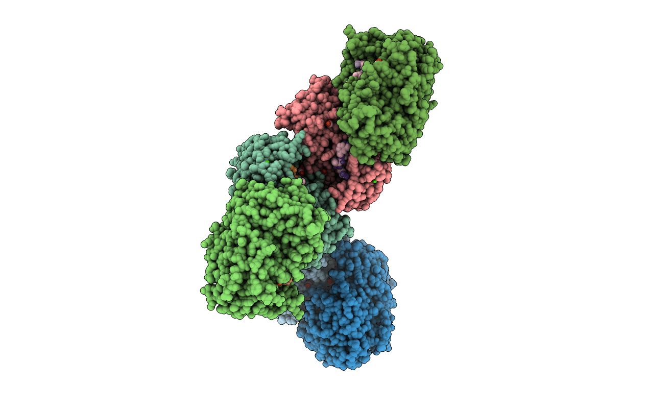 4OMC image