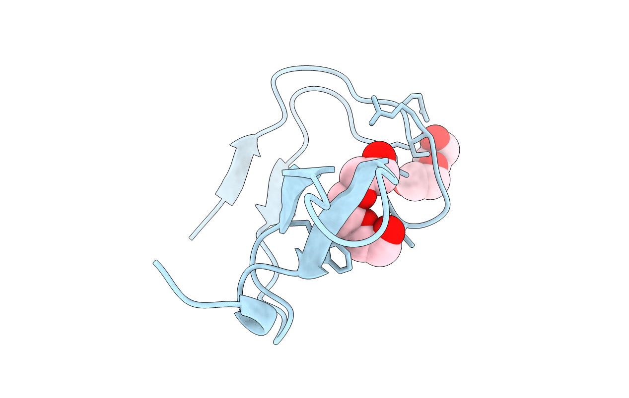 4OMP image