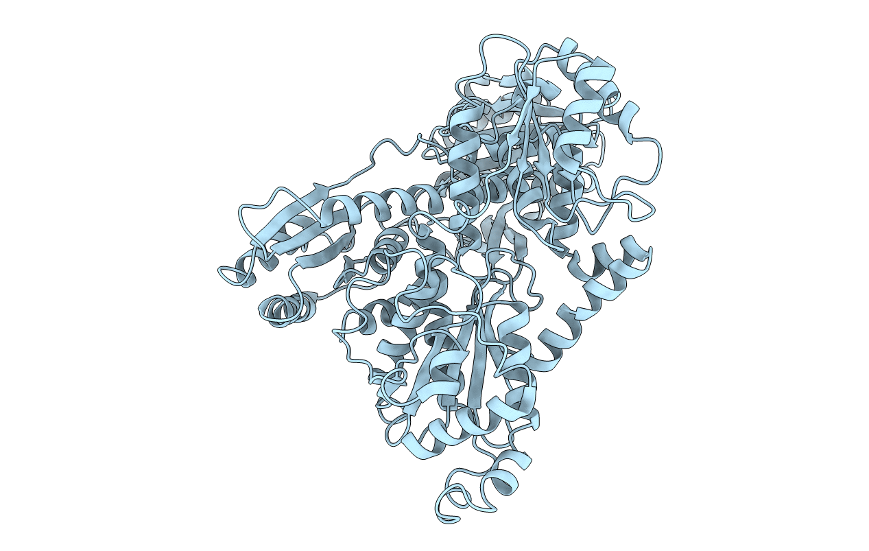 4OMT image
