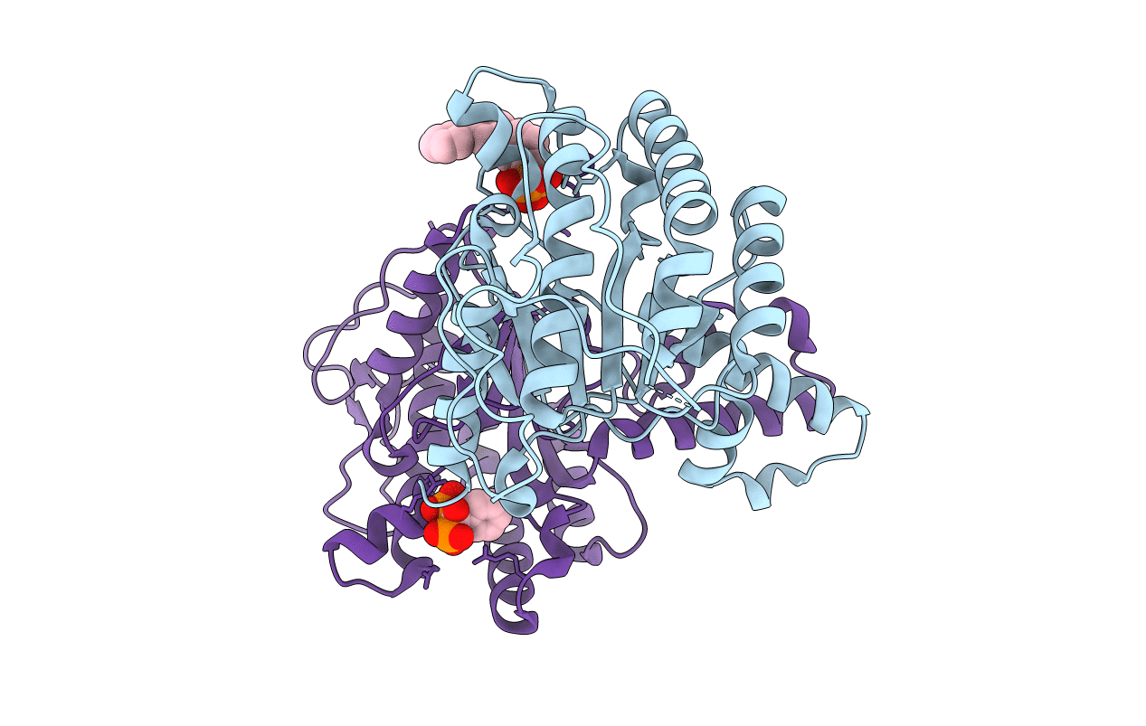 4onc image