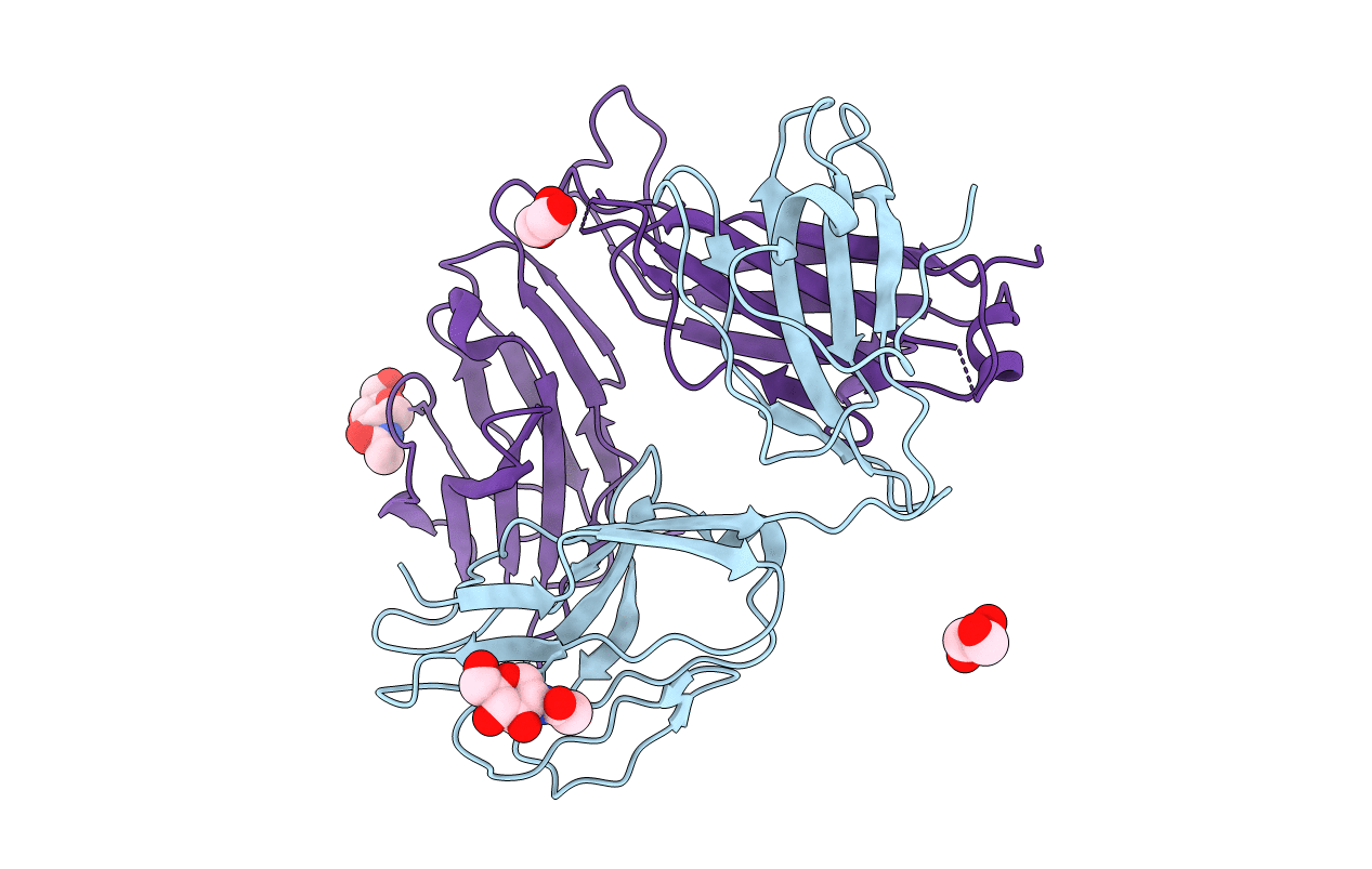 4ONH image
