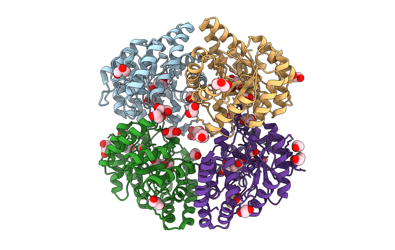 4ONV image
