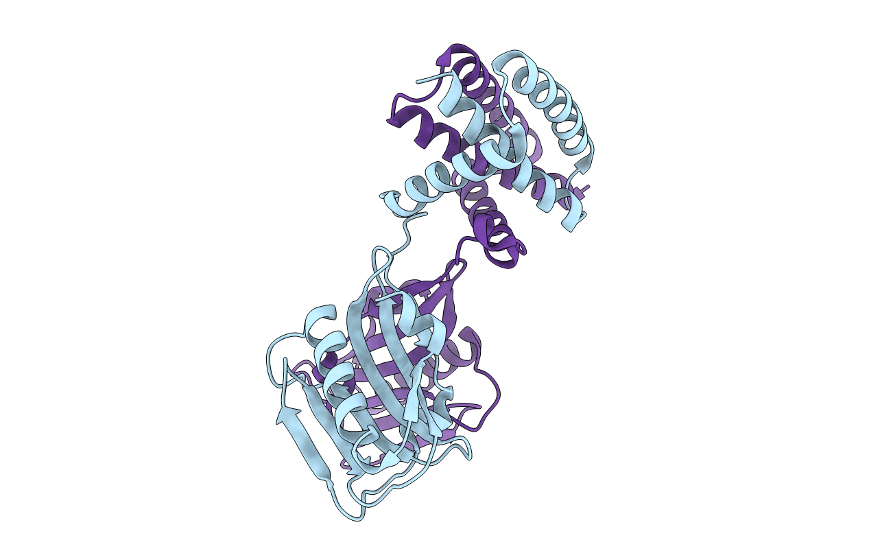 4OPA image